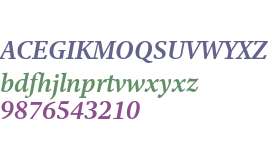 Adobe Clean Serif Bold Italic