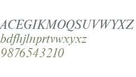 NimbusRomDGR Italic