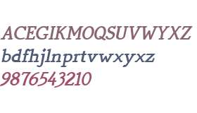 Quick Type W01 Bold Italic