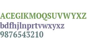PT Serif W01 Narrow Bold