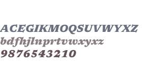Newsreader 9pt ExtraBold
