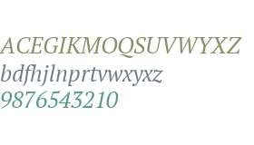 PT Serif Pro Book Italic W08