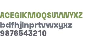 Raela Grotesque Black