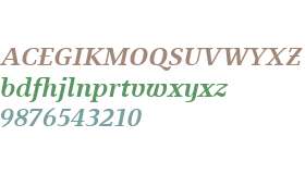 BF Fiona Serif W01 Bold Italic