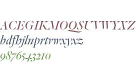 Dala Floda Web Roman Italic