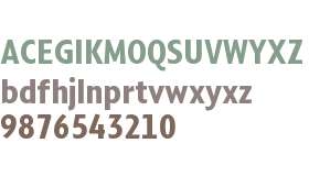 Compasso Condensed Test ExBold Cond