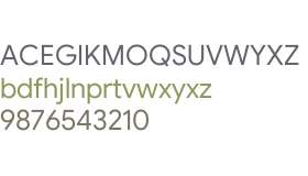 Google Sans Flex 36pt