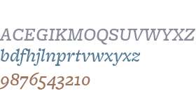 FreightMicro W03 Medium Italic