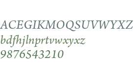 Arno Pro Italic SmText