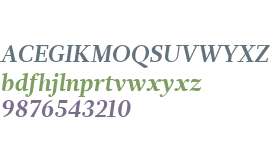 Glosa W01 Bold Italic