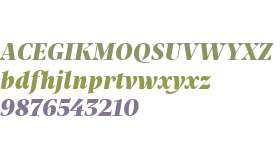 Praho Pro Test ExtraBold Italic