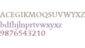 Linotype Syntax Serif W01 Rg