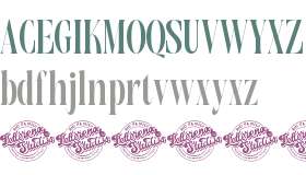 Magrefin DEMO VERSION