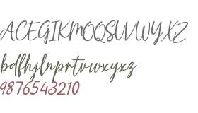 Misert Orida Script