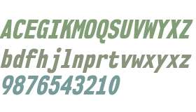NK57MonospaceCdEb-Italic