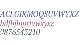 PT Serif W01 Narrow Italic