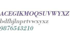 URW Bodoni W01 Medium Wide Obl