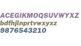 Publica Ignominia Black