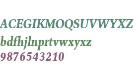 Combi Serif W01 Bold Oblique