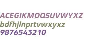 Xenois Sans W01 Bold Italic