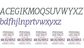 Hoyle PERSONAL USE ONLY Thin Italic