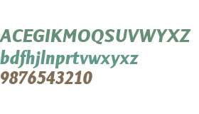 Sky Sans W01 Bold Italic