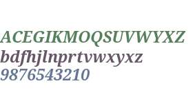 Droid Serif W01 Bold Italic