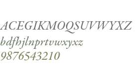 Garamond Premier Pro Medium Italic