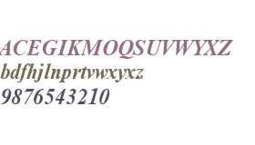 Nimbus Roman W01 Bold Italic