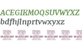 Isle Body PERSONAL USE Medium Italic