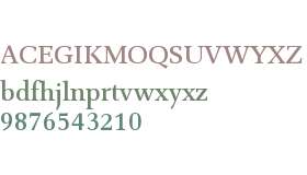 Combi Serif W01 Medium