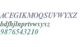 Newton W01 Bold Italic
