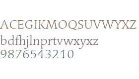 Linotype Syntax Serif W01 Light