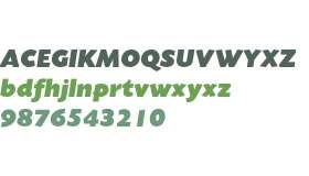 Today Sans Serif Ultra Italic