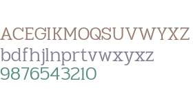 TBJ Goslap ExtLt Display