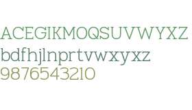 TBJ Goslap Thin Text
