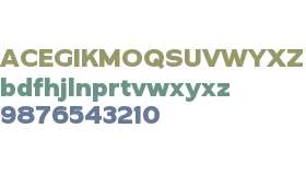 Dunking Grotesk Bold