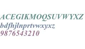 Times New Roman PS Std Bold Italic