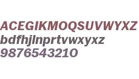 MoMA Sans Web Bold Italic