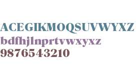 Parnaso Small Trial Black