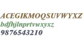Times New Roman* MONOTYPE Extra Bold Italic