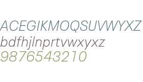 Neue Plak Text W04 Thin Italic