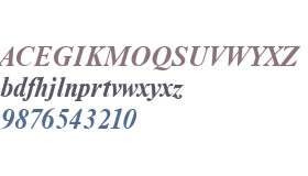 NimbusRomD Bold Italic V2