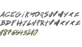 Acapulco Night Fever