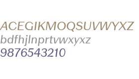 Picaresk Test