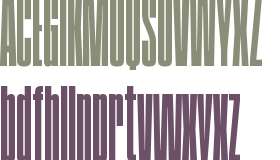 SwisspoTrial Ultra Condensed Black Tall