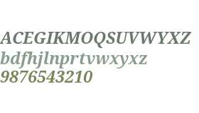 Droid Serif Bold Italic V2