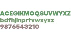 Blackbird Test Black