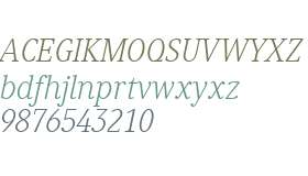 Generis Serif W01 Light Italic