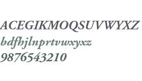 Adobe Garamond Pro Bold Italic